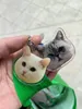 Abbigliamento per cani Portachiavi acrilico personalizzato per animali domestici Po Portachiavi personalizzato Zaino Pendenti Regalo souvenir Cane/Gatto