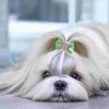 犬アパレル30 PCSペット用品アクセサリーヨーク犬用弾性バンドボウヘアクリップ