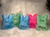 USA Warehouse Sublimation 15cm Mini Easter Bunny Peeps Plush Doll Pink Blue Purple Rabbit Dolls For Childrend Söta mjuka plyschlekar påskgåva