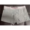 3st/Lot Mens Underpants Boxer Organic Cotton Shorts Modal Sexiga gay manliga boxare andningsbara nya mesh man underkläderstorlek m-xxl