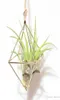 Suspendu Tillandsia Air plantes support métal géométrique fer Art fleur planteur Pot accessoires de jardinage maison bureau décoration 1038052