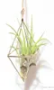 Hangende Tillandsia Air Plants Rek Metaal Geometrisch Ijzeren Kunst Bloem Planter Pot Tuinaccessoires Thuiskantoor Decoratie1038052