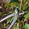 Bonsai przycinanie narzędzie korzeniowe noża wysokiej twardości ze stali nierdzewnej gałęzie kulki ścinającej gałęzie przycinania pędzla do ogrodu kwiat narzędzie 240108