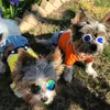 Dog Apparel Fashion Sunglasses For Pets Small Glasses Pet Products Little Dogs And Cats Eye-Wear Pos Kitten Accessories