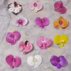 Pellicola per stampa 3D Testa di fiore Phalaenopsis Matrimonio fatto a mano Accompagnamento di fuochi d'artificio Testa Decorazione della casa Ornamenti LFY