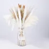 Decorative Flowers 30pcs Natural Pampas Grass Dried Flower Artificial Greenery Bride Aesthetic Room Accessories Decorations For Girls