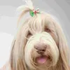 犬アパレル30 PCSペット用品アクセサリーヨーク犬用弾性バンドボウヘアクリップ