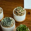 Planters POTS Succulent White Porcelain Flower Pot Simple Creative White Indoor Pot Succulent Flower Pot Creative Home Gardening Plants Potted YQ240109