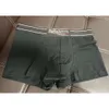 3st/Lot Mens Underpants Boxer Organic Cotton Shorts Modal Sexiga gay manliga boxare andningsbara nya mesh man underkläderstorlek m-xxl