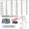 Men's Jeans Denim Pants Hole Ruined Streetwear Mens Ripped Biker High Quality Straight Patch Plus Size