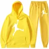 Hommes Set Sweins Sweins Designer pour hommes Tracksuits à sweats à sweats à sweats de mode à sweats de mode de tennis décontracté.