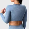 Active Shirts AMPLIFY LS CROPPED TOPS Women Seamless Long Sleeve Yoga Suit Training Outfits Workout Wear Sports Gym Clothing Customized