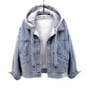 Blue Adjustable Hooded Denim Jacket Women Loose Button Patchwork Outwear Jean Coat Female plus velvet overcoat warm tops thicken 240108