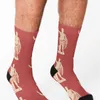 Standbeeld van Augustus Sokken sokken katoen schattige sokken coole sokken Designer Herensokken Dames 240108