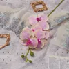 5 Phalaenopsis Film 3D Phalaenopsis transgraniczny transgraniczny handel zagraniczny Hurtowa symulacja Kwiat Ogrodnictwo wewnętrzne Piękny fałszywy kwiat lfy