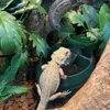 Vêtements pour chiens Reptile Caméléon Cantina avec abreuvoir fontaine à eau goutteur pour amphibiens insectes lézard US