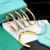 Titanium stalen armband merk designer lock armband Sier Rose gouden armbanden geen kristal voor vrouwen sieraden met Veet tas met doos feestcadeau