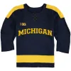 Maillots de hockey sur glace Michigan Wolverines Colleage Dylan Larkin Quinn Hughes Thomas Bordeleau Cam York Strauss Johnson Jack Becker Brendan Bris 39