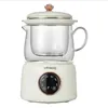 Electric Kettles 220V 450 ml Mini Electric Kettle Glass Automatisk Te Matlagningspotten Multikokare Hälsa Konservering av potten Mat som Stewing Cooker YQ240109