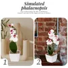 Decorative Flowers Fake Phalaenopsis Flower Bonsai Faux Orchid In Pot Artificial