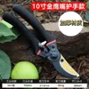 Japan Thickened SK5 Steel Branch Scissors Garden Scissors Pruning Fruit Trees Gardening Tools and Equipment 240108