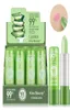 Högkvalitativ makeup läppstift vattentät läppglans färg förändras långvarig läpp stick aloe vera läppbalsam cosmetic3539058