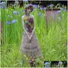 庭の装飾庭と家の装飾装飾の装飾像ミニチュア彫像のスケプール外の花の妖精の女神の装飾品ギフトd dhdso