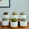 Planters POTS Succulent White Porcelain Flower Pot Simple Creative White Indoor Pot Succulent Flower Pot Creative Home Gardening Plants Potted YQ240109