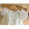 Girl Dresses Princess Flower Dress For Wedding White Tulle Applique Puffy With Bow Cute Kids Baby Pageant Birthday Party Ball Gown
