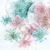 Jewelry 10 Color Natural Dried Flowers Epoxy Resin 3d Dry Plants Silicone Molds for Uv Resin Diy Jewelry Pendant Craft Nails Art Making