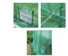 480x215x220cm Garden Greenhouse PE Plant Green House Waterproof Portable Outdoor Accessories With Frame 240108