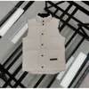 Waistcoat Designer Vest Men's Vests Jacket From Feather Material Loose Ball Black and White Stand Collar Coat Gilet Size XL Fashion White Duck Down