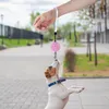 Kołnierze dla psów 1PCS Wysytalny mini smycz przenośny szczeniak automatyczny nylonowy pasek Pet Pet Outdoor Spacerd Płaskie akcesoria