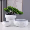 Planters krukor minimalistiska keramiska vasblomma krukväxter dekorativa blommor arrangemang skrivbord porslin vaser moderna dekor prydnader yq240109