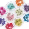 Jewelry 10 Color Natural Dried Flowers Epoxy Resin 3d Dry Plants Silicone Molds for Uv Resin Diy Jewelry Pendant Craft Nails Art Making