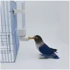 Andra fågelförsörjningar papegoja dricka vattenkokare stor automatisk vattenmatare husdjur chinchilla cup utomhus bur kycklingar dricker dricker