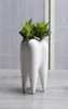歯の形状セラミックポット多肉植物プランターミニ白いかわいい庭の花の飾り屋内オフィスデスク装飾4416045