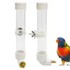 Autres fournitures d'oiseaux 130ml en plastique perroquet bouilloire grand distributeur d'eau automatique chinchilla tasse cage extérieure petit buveur pour animaux de compagnie