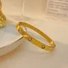 Bangle SNQP Design Cuff Pulseiras para Mulheres Aço Inoxidável Casal Bangles Moda Cubic Zirconia Gold Color Jóias Acessórios