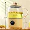 Electric Kettles Electric Kettle Health Pot Home Multi-Function Office Mini Liten Automatic Glass Electric Heat Water Cooked Tea Maker YQ240109