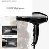 Hair Dryers High Power Thermostatic Hair Dryer ABS Strong Power Quick-dry Negative Ionic Blow Dryer for Home Hair Salon Hotel Q240109