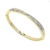 Bangle Crystal Twisted Line Cross Volledige Zirkoon Knooparmband voor Valentijnsdagcadeau