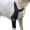 Joelheira transportadora para cães, suporte grande para perna traseira, respirável, com tira de metal, protetor de alta elasticidade, cães idosos