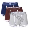 3 Pezzi/lottp Uomo Undies Boxer Slip Biancheria Intima di Cotone di Grandi Dimensioni Mutandine Maschili Mutandine Mutande Pantaloncini da Ragazzo S M L XL 2XL 3XL 240110