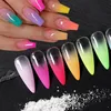 1Box ​​Chrome Nail Powder blandat med färggel för nagelgradient DIY -målning Effekt Nagelpigment Damm Nageltillbehör Dekoration 240109