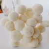 Decoratieve Bloemen 20 stks Natuurlijke Plantaardige Gedroogde Kleur Billy Balls Eeuwig Leven Bloem Bal Home Decor Bruidsboeket DIY Materiaal