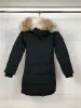 Casaco feminino jaqueta de inverno com capuz/snowdome jaquetas de pele de lobo real gola pato parkas fábrica casacos claros blusão quente zíper grosso parka