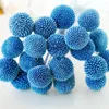 Decoratieve Bloemen 20 stks Natuurlijke Plantaardige Gedroogde Kleur Billy Balls Eeuwig Leven Bloem Bal Home Decor Bruidsboeket DIY Materiaal