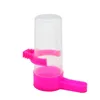 Other Bird Supplies 2pcs Plastic Parrot Pet Small Size Drinker Feeder Waterer Clip For Automatic Drinking Fountains Birds Water Bottle