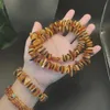 Necklaces Luxury Brand Woman Baltic Natural Amber Necklace Adult Necklaces/Bracelet Fashion Multicolor Gravel Necklaces Amber Jewelry